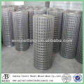 building electro galvanized welded wire mesh netting